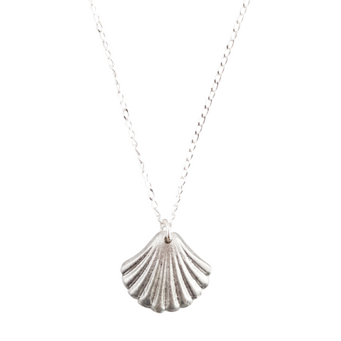 Cockle Shell Necklace on Sterling Silver Chain